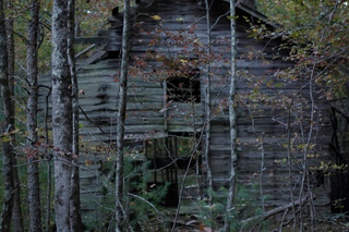 Illustration for article titled Shooting Challenge Fall Leaves Gallery 11